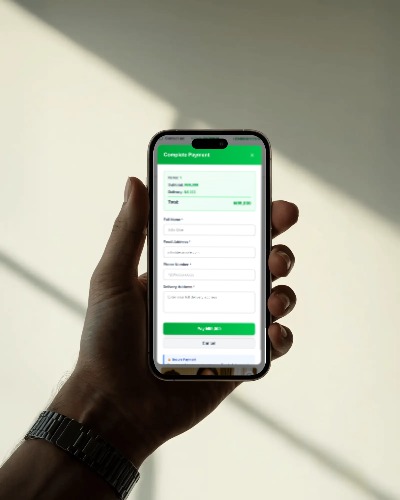Tarapint checkout payment form on a phone with card and transfer payment options in naira